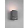 Trio AVON Outdoor Wall Light LED anthracite, 1-light source, Motion sensor