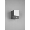 Trio AVON Outdoor Wall Light LED anthracite, 1-light source, Motion sensor