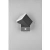 Trio AVON Outdoor Wall Light LED anthracite, 1-light source, Motion sensor