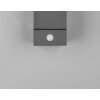 Trio AVON Outdoor Wall Light LED anthracite, 1-light source, Motion sensor