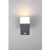 Trio AVON Outdoor Wall Light LED anthracite, 1-light source, Motion sensor