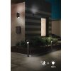 Trio AVON Outdoor Wall Light LED anthracite, 2-light sources, Motion sensor