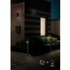 Trio AVON Outdoor Wall Light LED anthracite, 2-light sources, Motion sensor
