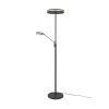 Trio FRANKLIN Floor Lamp LED anthracite, 2-light sources