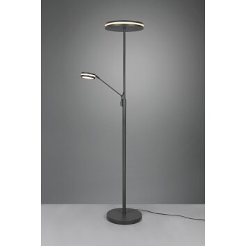 Trio FRANKLIN Floor Lamp LED anthracite, 2-light sources
