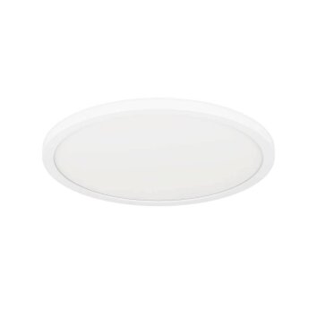 Eglo ROVITO-Z Ceiling Light LED white, 1-light source, Colour changer