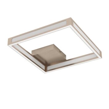 Eglo ALTAFLOR Ceiling Light LED matt nickel, 4-light sources