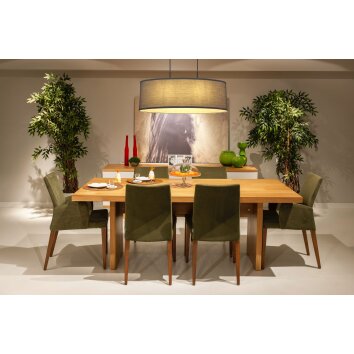 Globo NATHAN Pendant Light black, 2-light sources