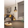 Eglo YORTH Pendant Light matt nickel, black, 1-light source