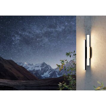 Eglo SERRICELLA Outdoor Wall Light LED black, 2-light sources