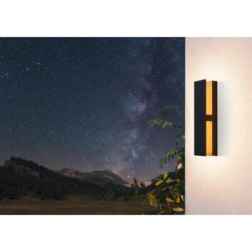 Eglo COSTORIO outdoor ceiling light LED Wood like finish, black, 1-light source