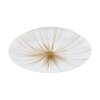 Eglo NIEVES Ceiling Light LED white, 1-light source