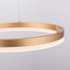 Leuchten-Direkt TITUS Pendant Light LED brass, 1-light source