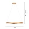 Leuchten-Direkt TITUS Pendant Light LED brass, 1-light source