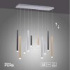 Paul Neuhaus PURE-GEMIN Pendant Light LED aluminium, black, 10-light sources