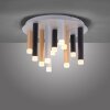 Paul Neuhaus PURE-GEMIN Ceiling Light LED aluminium, black, 12-light sources