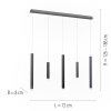 Paul Neuhaus PURE-GEMIN Pendant Light LED aluminium, black, 5-light sources