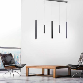 Paul Neuhaus PURE-GEMIN Pendant Light LED aluminium, black, 5-light sources