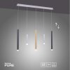Paul Neuhaus PURE-GEMIN Pendant Light LED aluminium, brass, black, 5-light sources