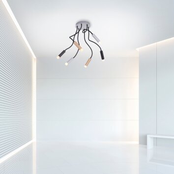 Paul Neuhaus PURE-GEMIN Ceiling Light LED aluminium, brass, black, 6-light sources