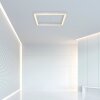 Paul Neuhaus PURE-LINES Ceiling Light LED aluminium, 1-light source, Remote control