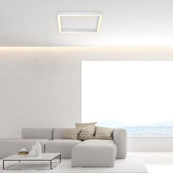 Paul Neuhaus PURE-LINES Ceiling Light LED aluminium, 1-light source, Remote control