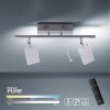 Paul Neuhaus PURE-MIRA Ceiling Light LED aluminium, 2-light sources, Remote control