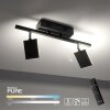 Paul Neuhaus PURE-MIRA Ceiling Light LED black, 2-light sources, Remote control