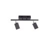 Paul Neuhaus PURE-MIRA Ceiling Light LED black, 2-light sources, Remote control