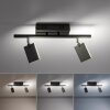 Paul Neuhaus PURE-MIRA Ceiling Light LED black, 2-light sources, Remote control
