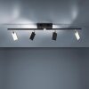 Paul Neuhaus PURE-MIRA Ceiling Light LED black, 4-light sources, Remote control