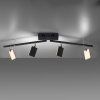 Paul Neuhaus PURE-MIRA Ceiling Light LED black, 4-light sources, Remote control