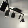 Paul Neuhaus PURE-MIRA Ceiling Light LED black, 6-light sources, Remote control