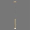 Paul Neuhaus PURE-VEGA Pendant Light LED brass, 3-light sources