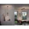 Paul Neuhaus PURE-VEGA Pendant Light LED black, 9-light sources