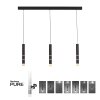 Paul Neuhaus PURE-VEGA Pendant Light LED black, 9-light sources