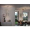Paul Neuhaus PURE-VEGA Pendant Light LED brass, 9-light sources