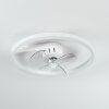 OLEIRO ceiling fan LED grey, white, 1-light source, Remote control