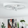 OLEIRO ceiling fan LED grey, white, 1-light source, Remote control