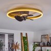 OLEIRO ceiling fan LED gold, black, white, 1-light source, Remote control