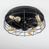 MOSCAVIDE ceiling fan brass, black, 4-light sources, Remote control