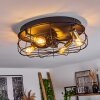 MOSCAVIDE ceiling fan brass, black, 4-light sources, Remote control