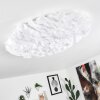 ADEGOIVA Ceiling Light LED white, 1-light source