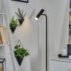 DALHEIM Floor Lamp LED black, 1-light source