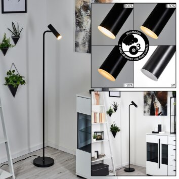 DALHEIM Floor Lamp LED black, 1-light source