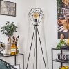 BARDHAMAN Floor Lamp black, 1-light source