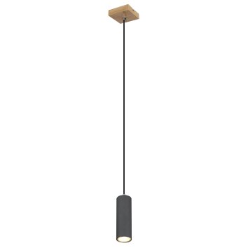 Globo ROBBY Pendant Light black, 1-light source