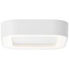 Brillliant Whittaker outdoor ceiling light LED white, 1-light source