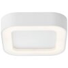 Brillliant Whittaker outdoor ceiling light LED white, 1-light source