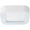 Brillliant Whittaker outdoor ceiling light LED white, 1-light source